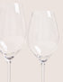 Set of 2 Wine Glasses